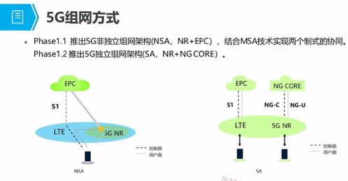 5G培训应用篇一 5G概述、发展与演进及人体干细胞技术的开发与应用