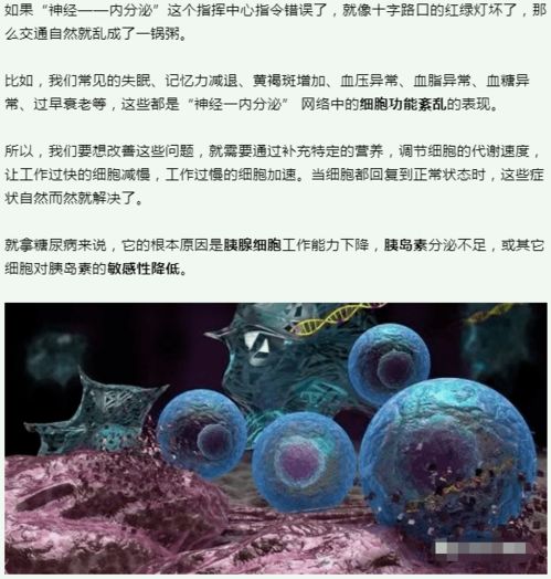 干细胞 人体健康的基石与未来医学的引擎