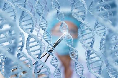 中国科学家靶向编辑长寿基因 让老弱血管重获“Q弹爽滑”，树立干细胞技术新里程碑