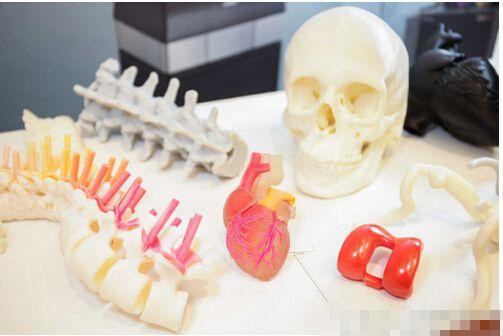 3D打印的四大医疗应用与人体干细胞技术开发的前沿展望